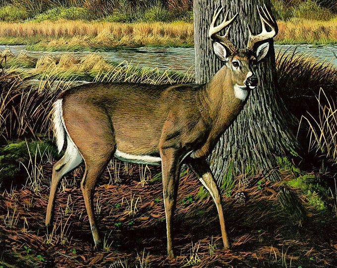 Wildlife Painting - "Out Of Reach" (Poster)